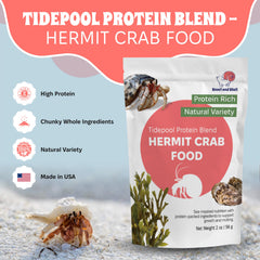 Snout et Shell Tidepool – ingrédients marins divers prêts à nourrir