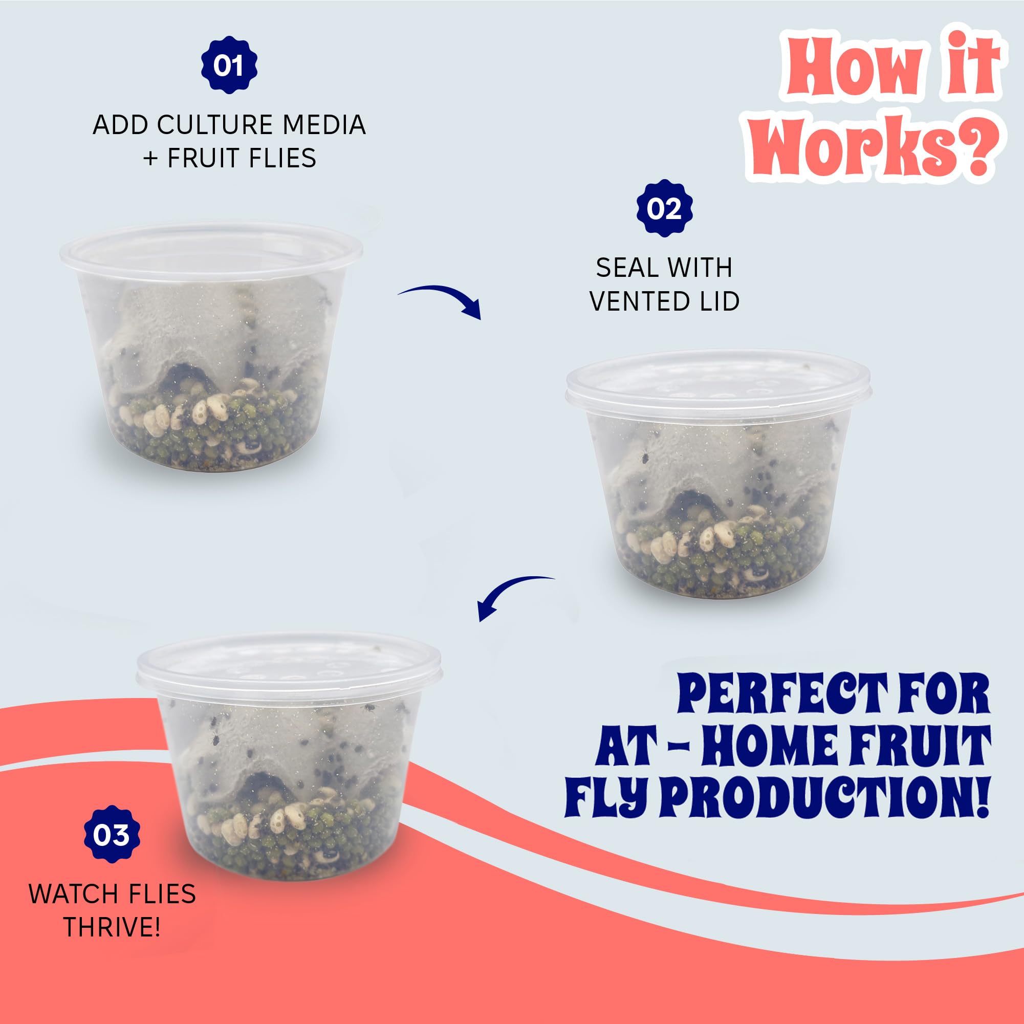Gobelet deli durable et réutilisable pour nourrir plusieurs lots d'insectes.