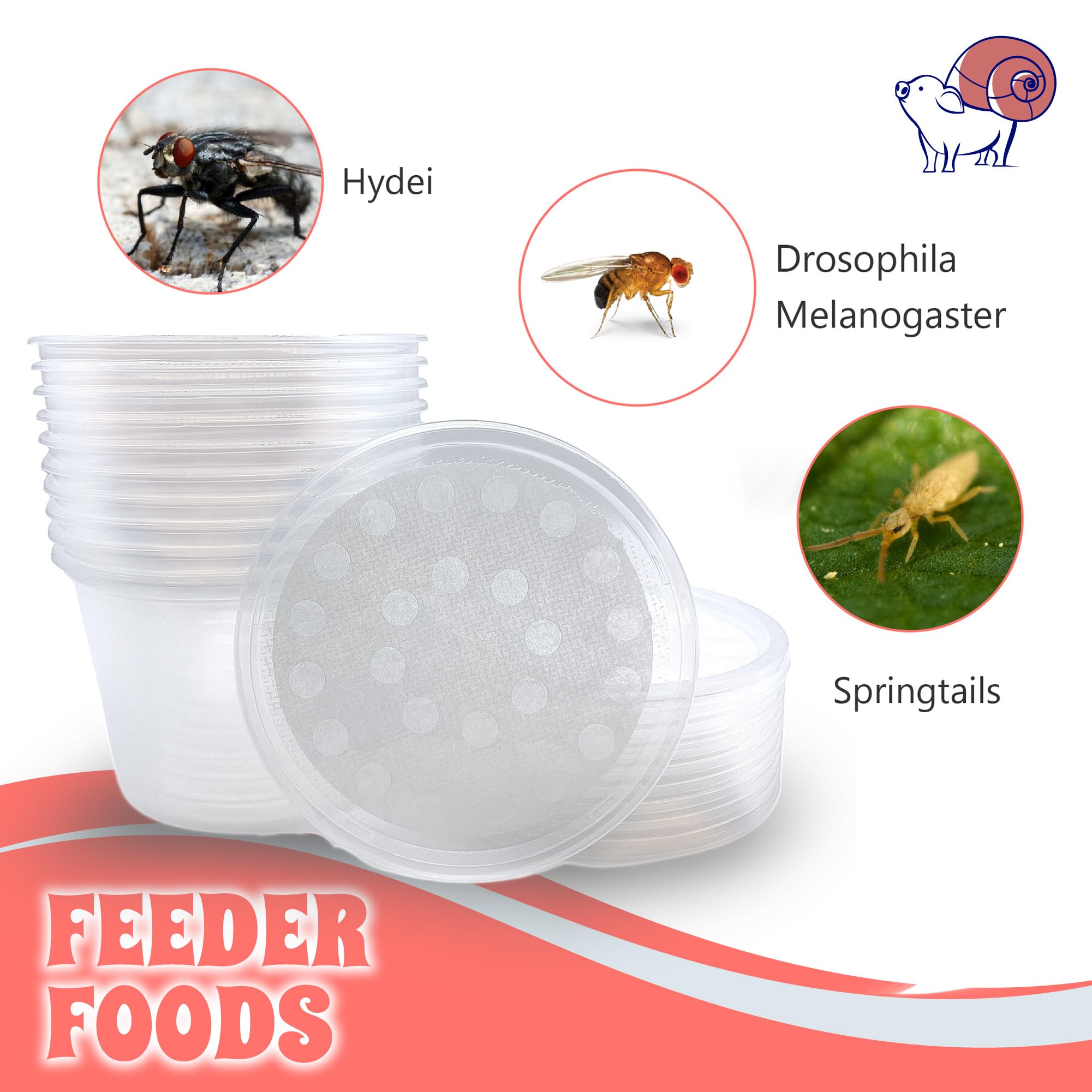 Solution sécurisée Snout & Shell pour contenir les insectes.