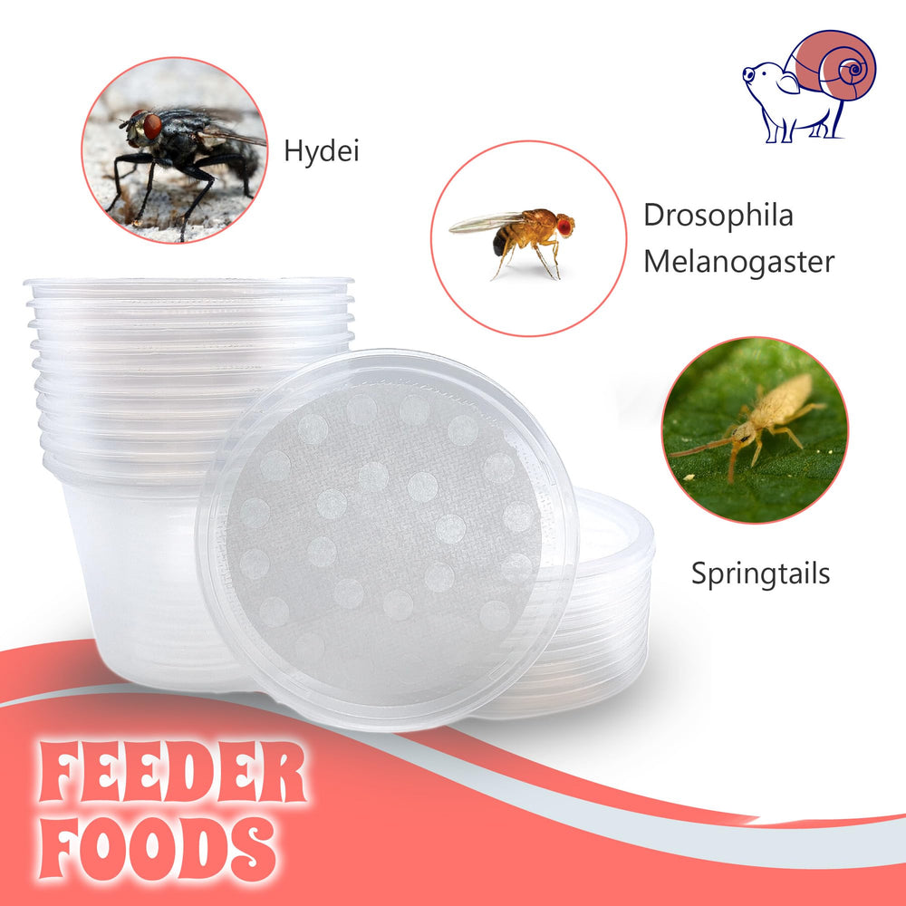 Solution sécurisée Snout & Shell pour contenir les insectes.