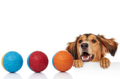 Balles Snug en caoutchouc pour chien – usage en plein air, facile à nettoyer après la plage.