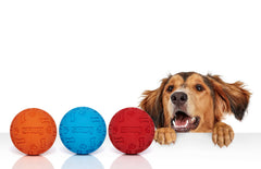 Texture caoutchouc Snug en gros plan, surface résistante pour des jeux actifs.