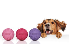 Snug balles en caoutchouc bleues pour chiens, idéales pour le jeu en plein air.