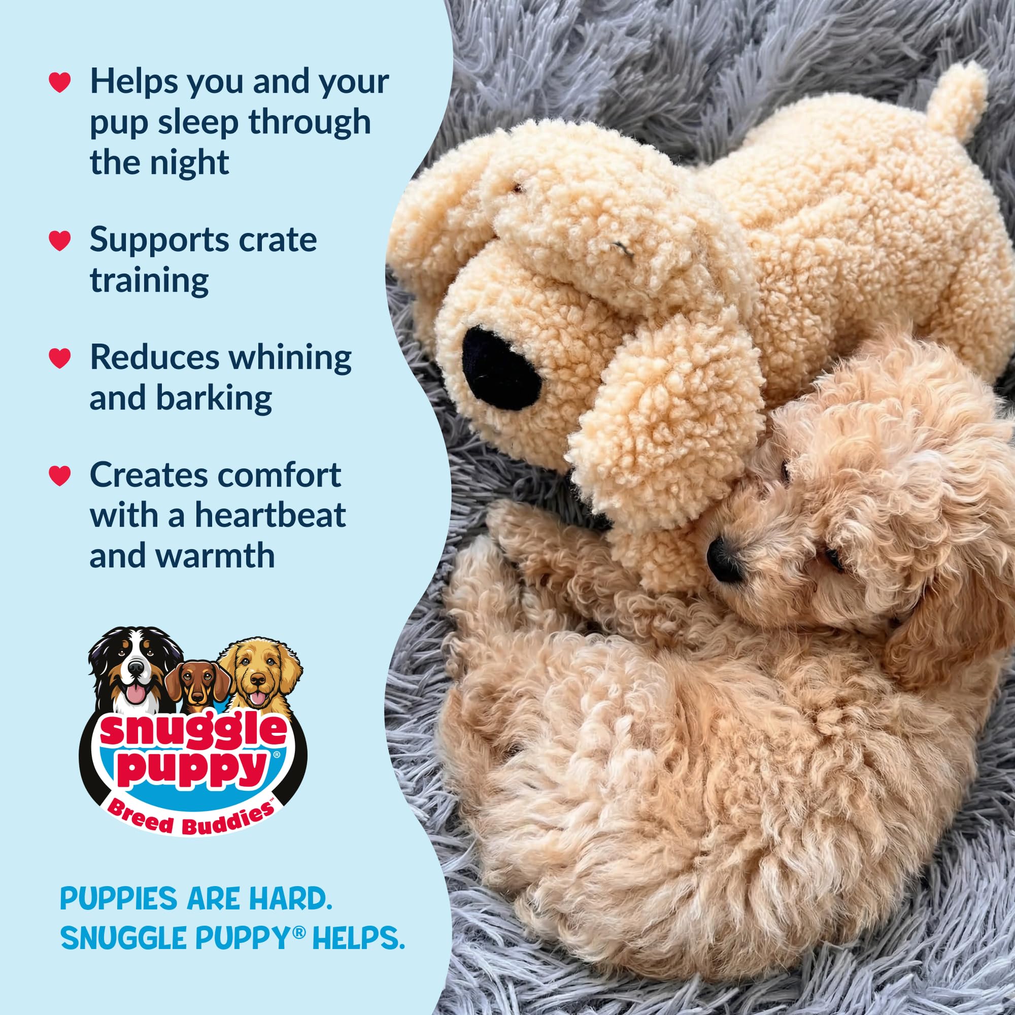 Snuggle Puppy apparence peluche à poil bouclé pour rassurer les chiots.