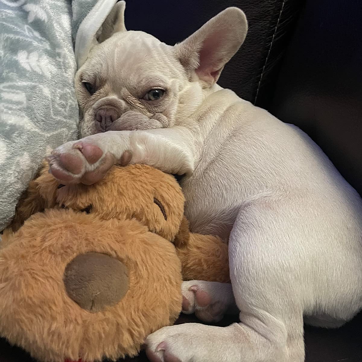 Snuggle Puppy battement cœur, apaisement rapide pour chiot.