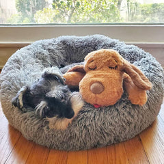 Snuggle Puppy coeur peluche: pouls réaliste pour apaiser le chien durant le repos