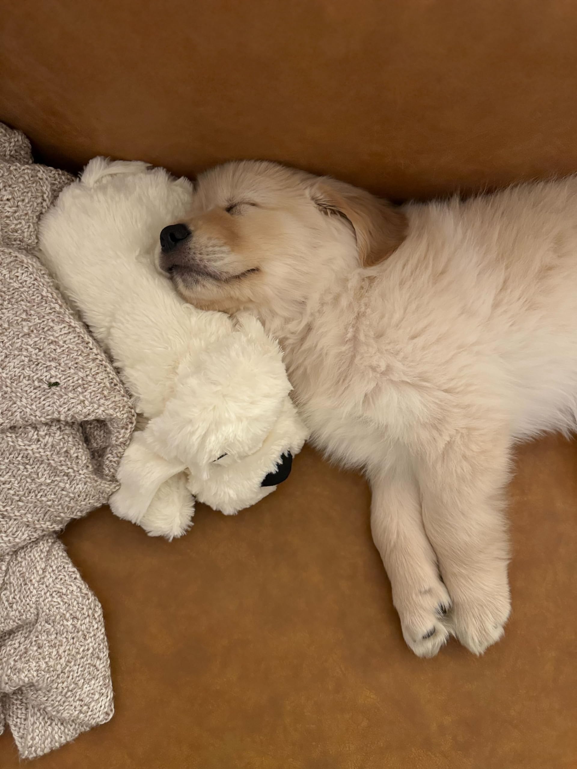 Snuggle Puppy activation par mouvement pour un câlin rassurant