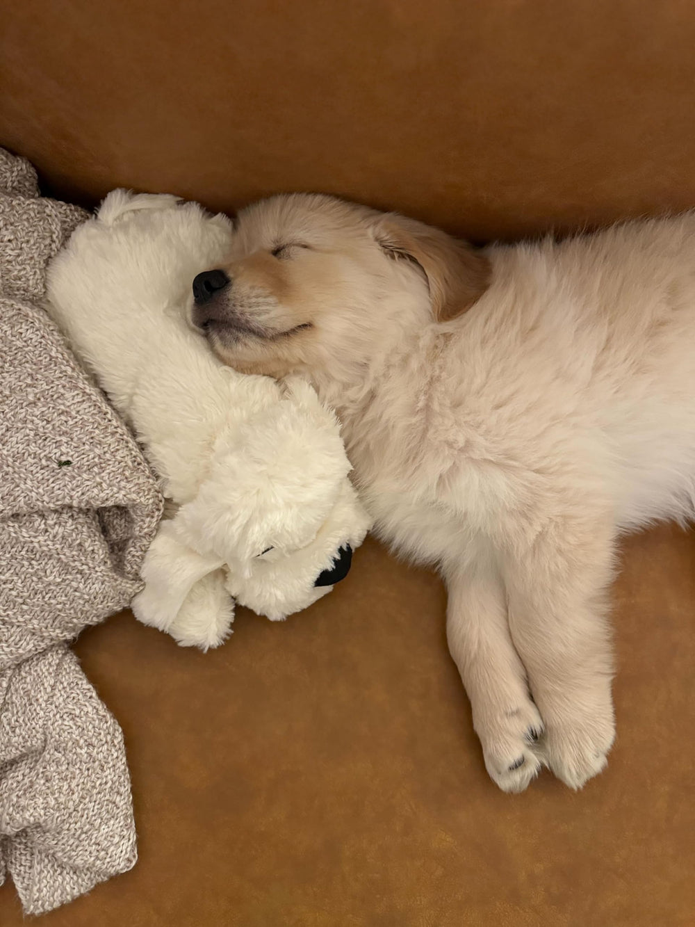 Snuggle Puppy activation par mouvement pour un câlin rassurant