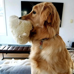 Snuggle Puppy Doudou crème: apparence douce pour un réconfort du chiot.
