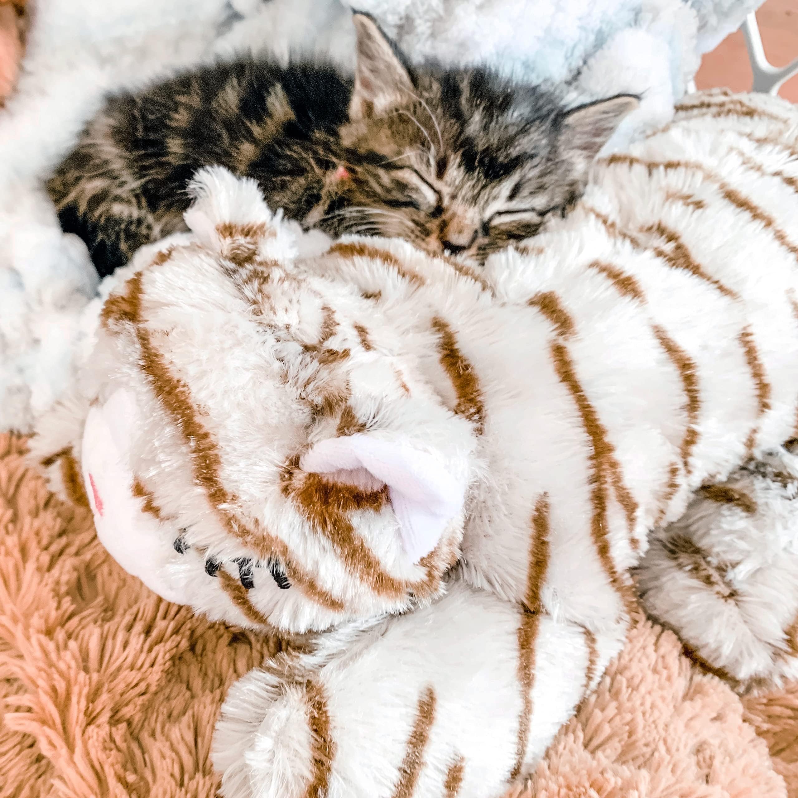 Enrichissement canin avec le jouet peluche Snuggle Puppy.