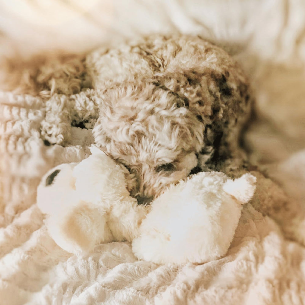 Snuggle Puppy Housse extérieure lavable: douceur durable et entretien facile.