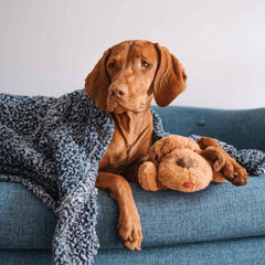 Snuggle Puppy – packs chauffants apportant chaleur rassurante.
