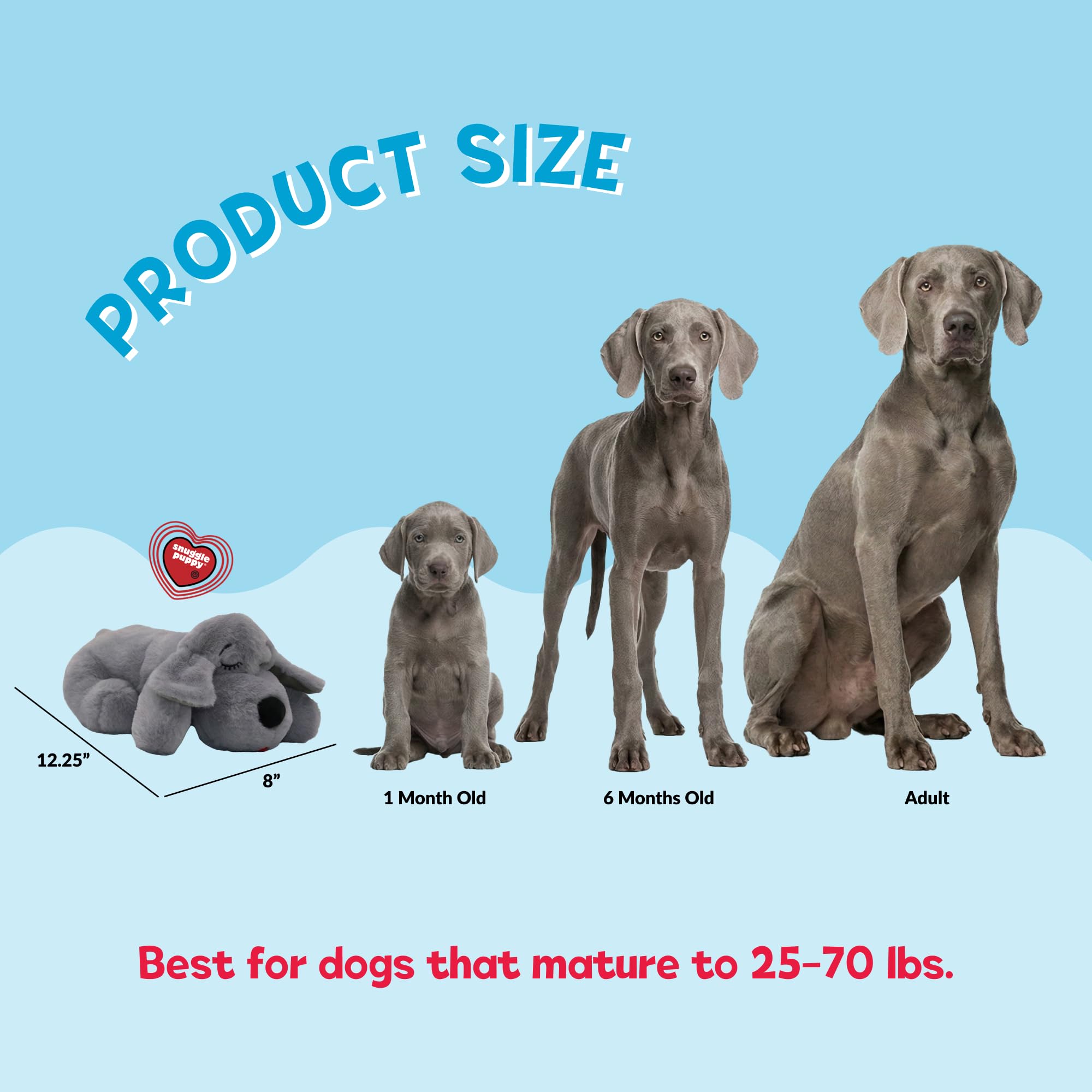 Snuggle Puppy poche chaleur pour douceur et calme pendant les nuits.