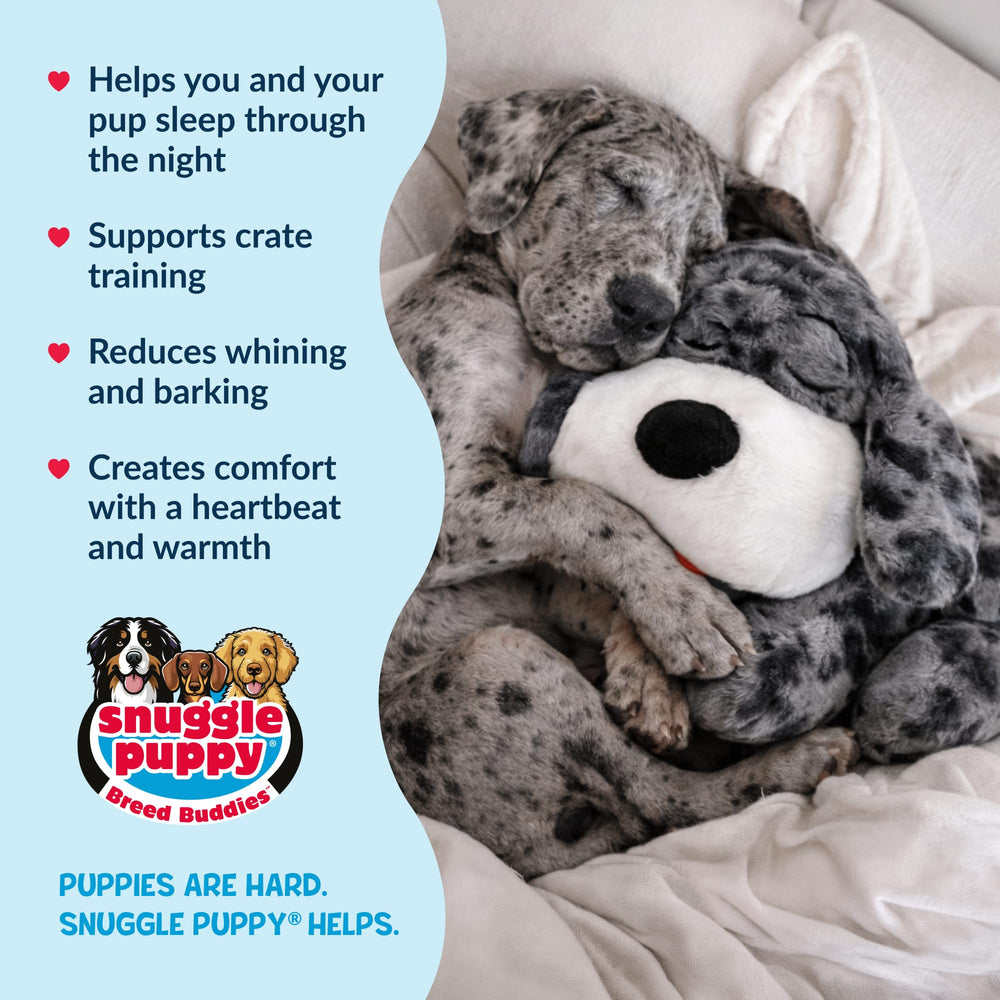 Snuggle Puppy premiers nuits en nid pour chiot Dogue allemand