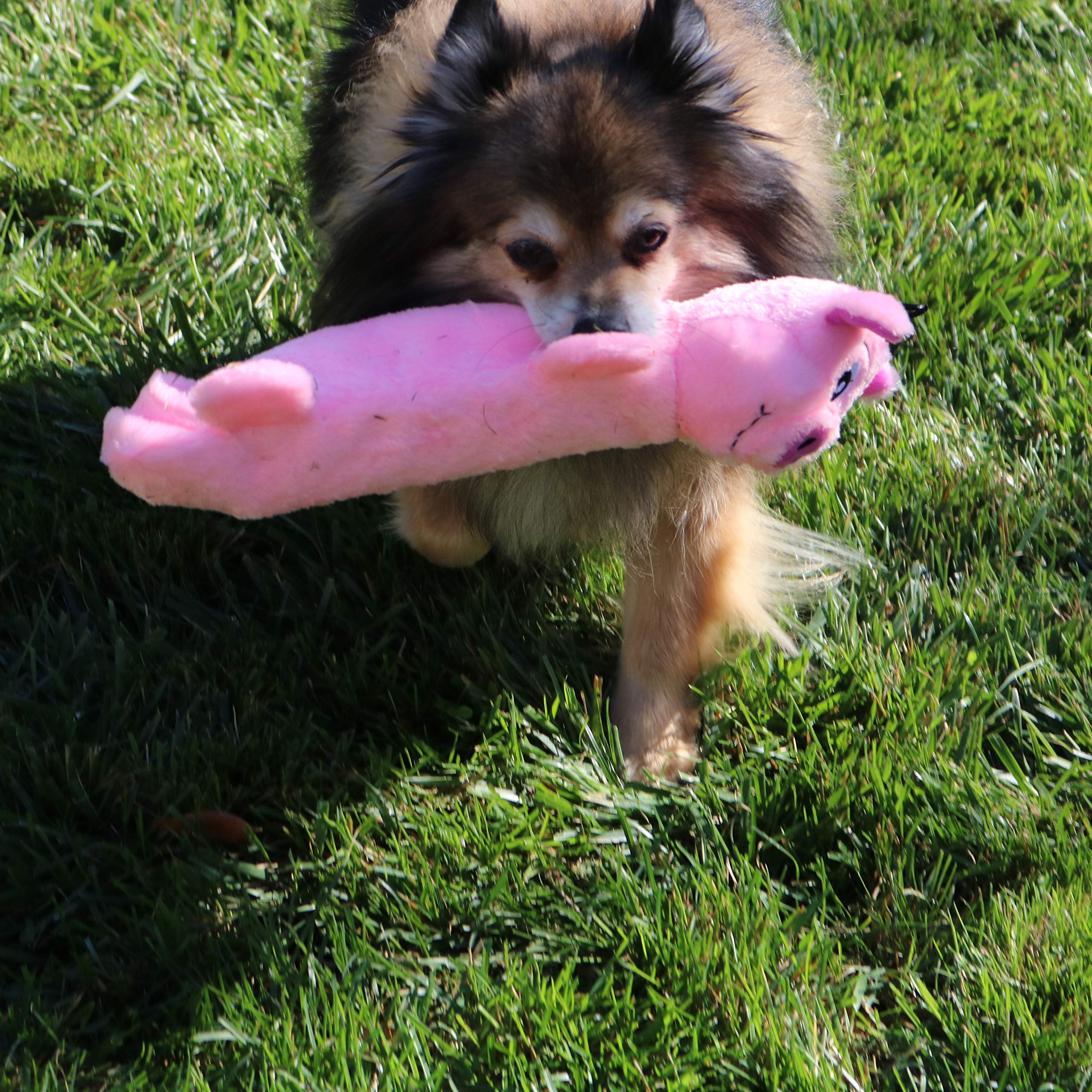 SnugglePuppy SmartPetLove jouet interactif peluche: renforcer le lien avec votre chien.