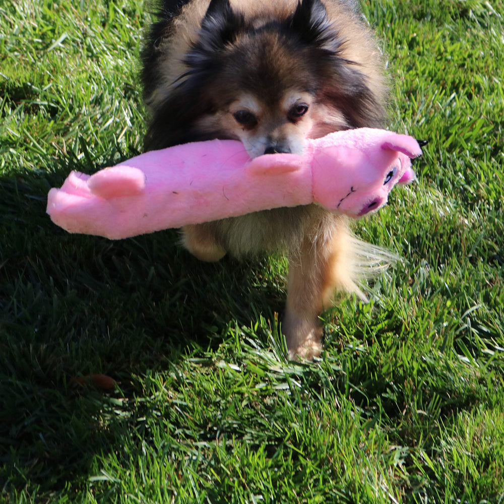 SnugglePuppy SmartPetLove jouet interactif peluche: renforcer le lien avec votre chien.