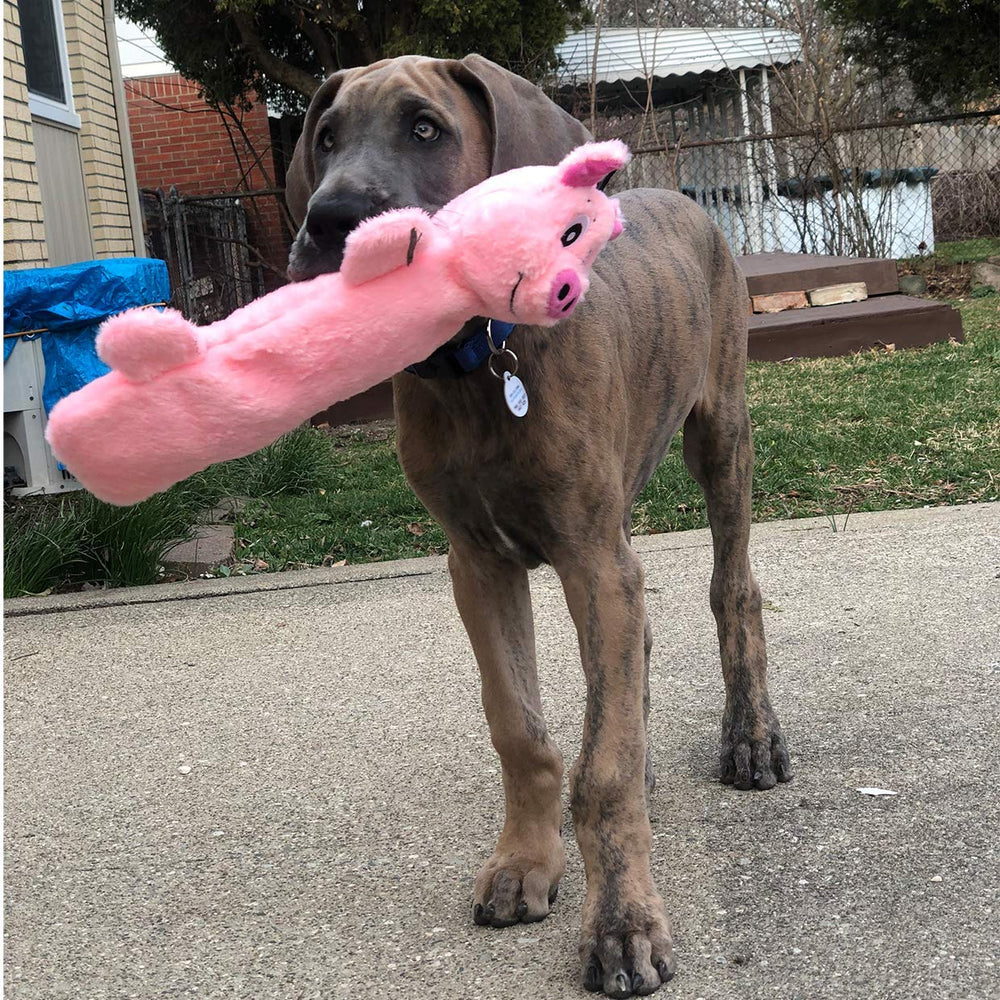 SnugglePuppy SmartPetLove sifflet-incassable: jeu durable et amusant.