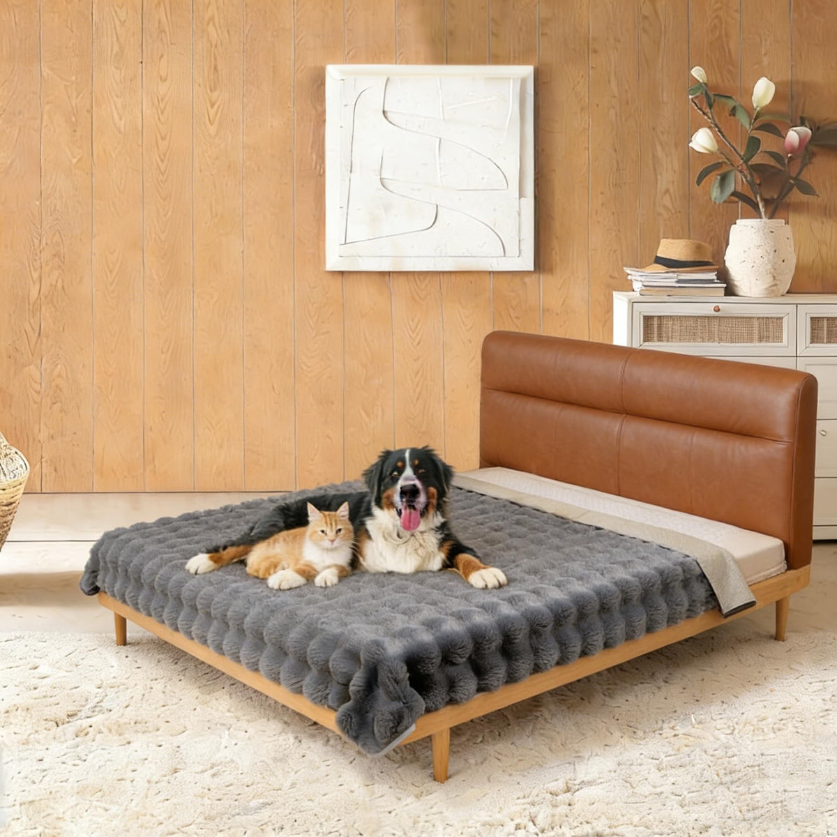 Snugglesinto: couverture peluche pour chien sur lit, douceur et chaleur.