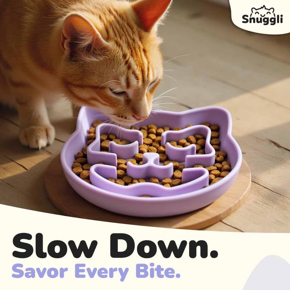 Bol Snuggli en puzzle stimulant l enrichissement lors des repas.