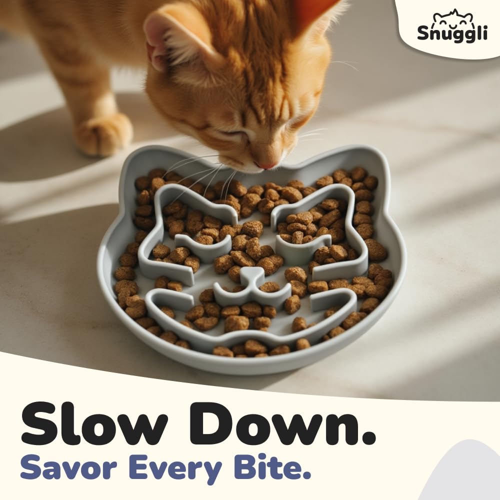 Snuggli puzzle alimentation chat – stimulation mentale pendant le repas.