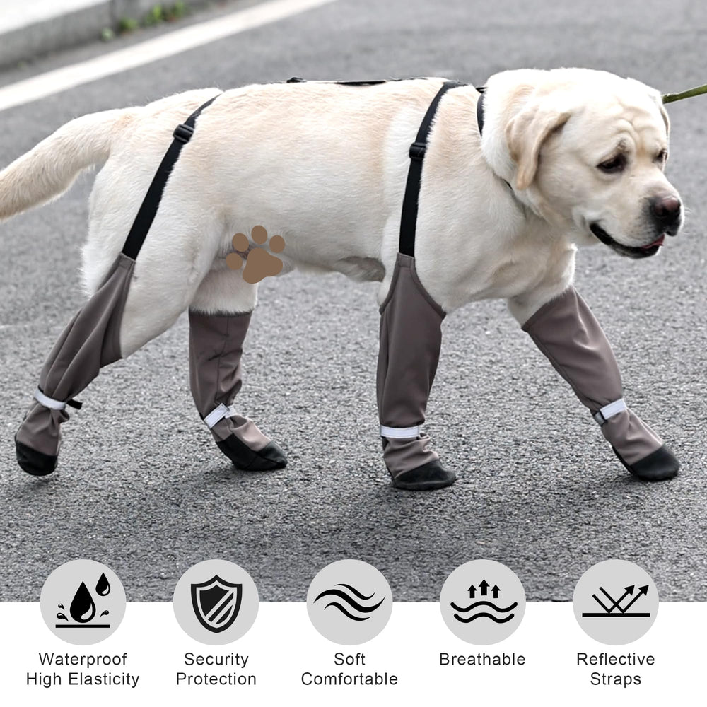 Snugrance Dog Suspender Boots guide des tailles détaillé