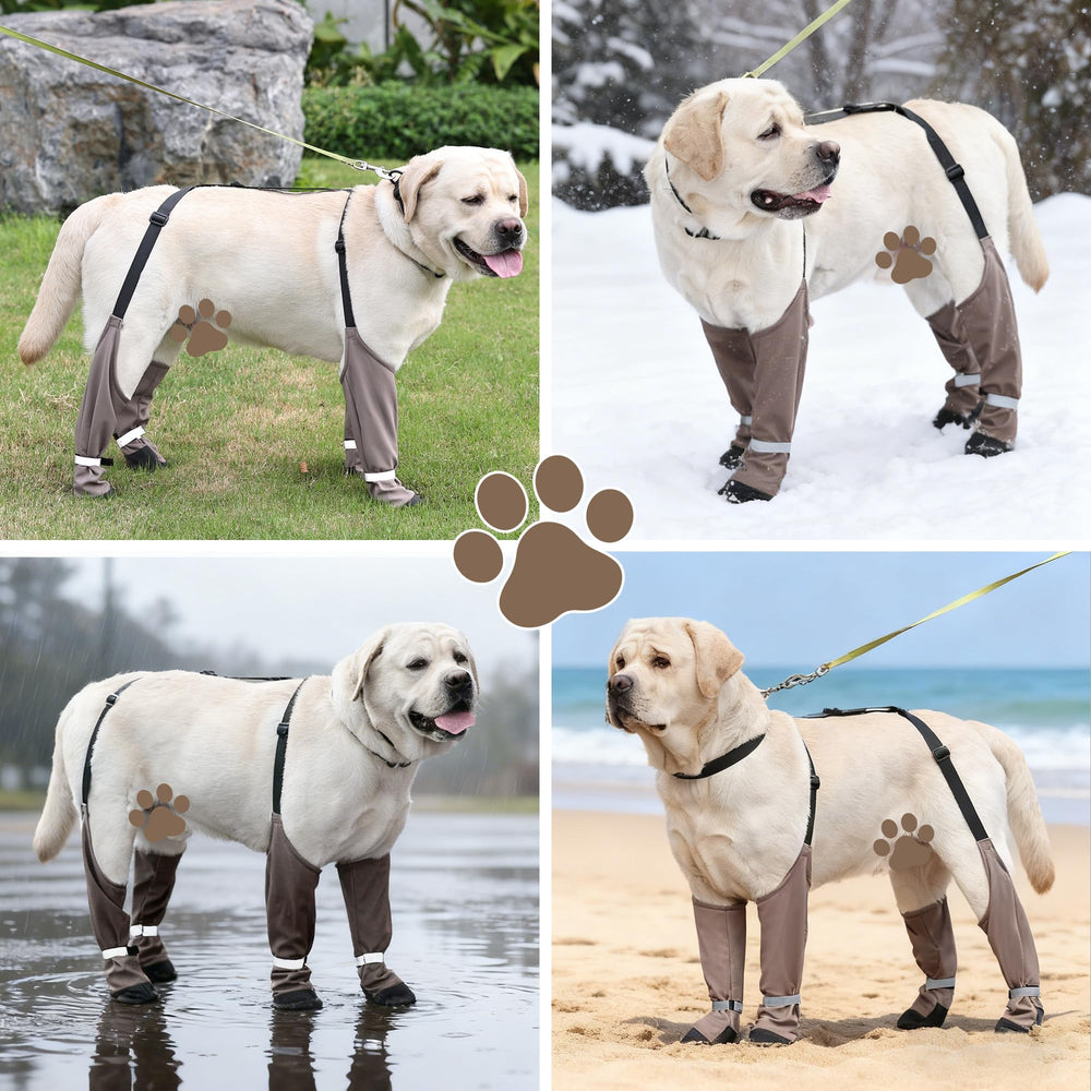 Snugrance Dog Suspender Boots imperméables protégeant les pattes
