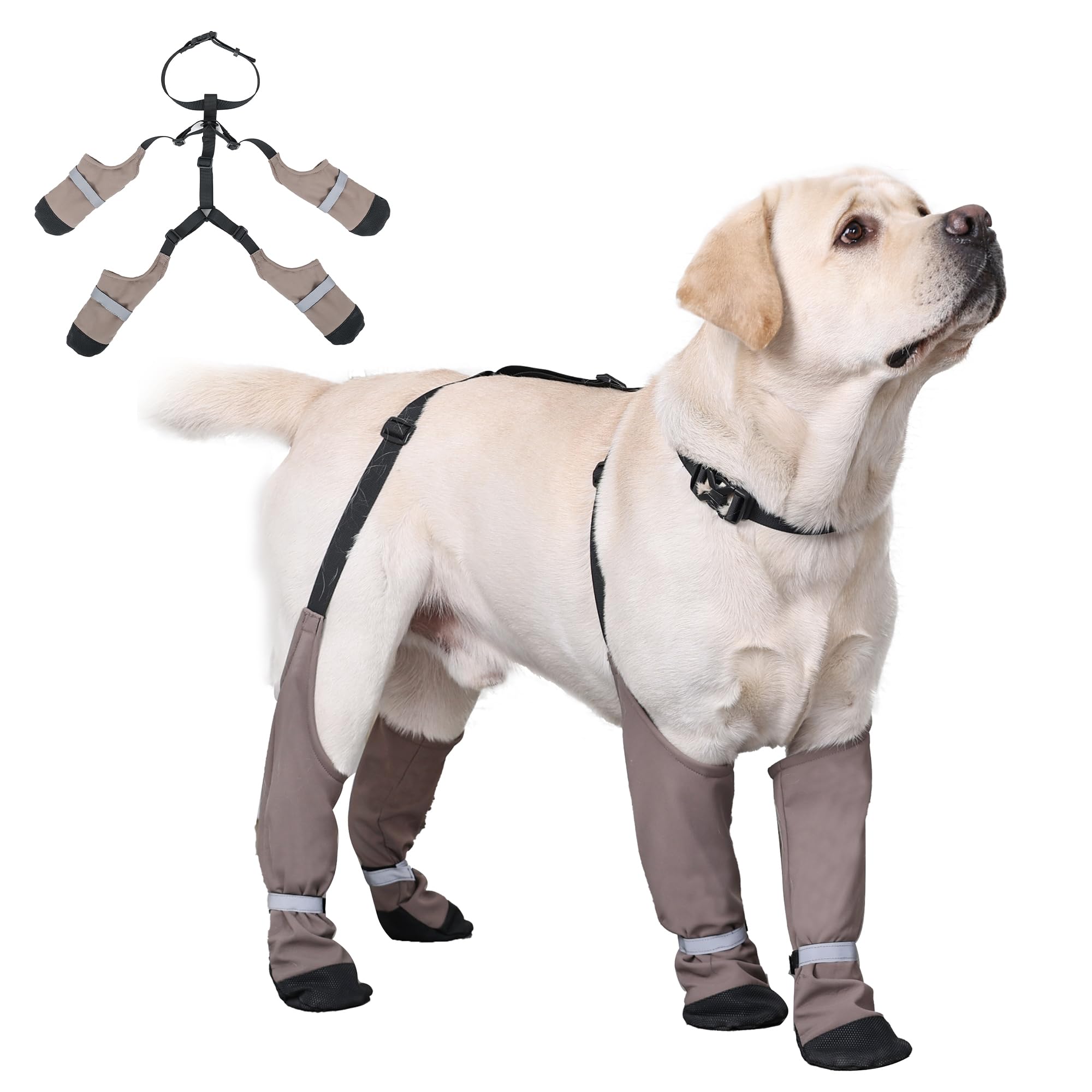 Snugrance Dog Suspender Boots design de maintien pour des promenades sans perte