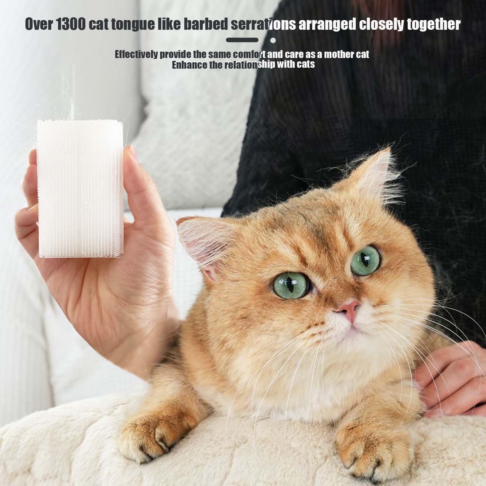 Prise en main légère SoarExcelyy pour toilettage quotidien sans effort