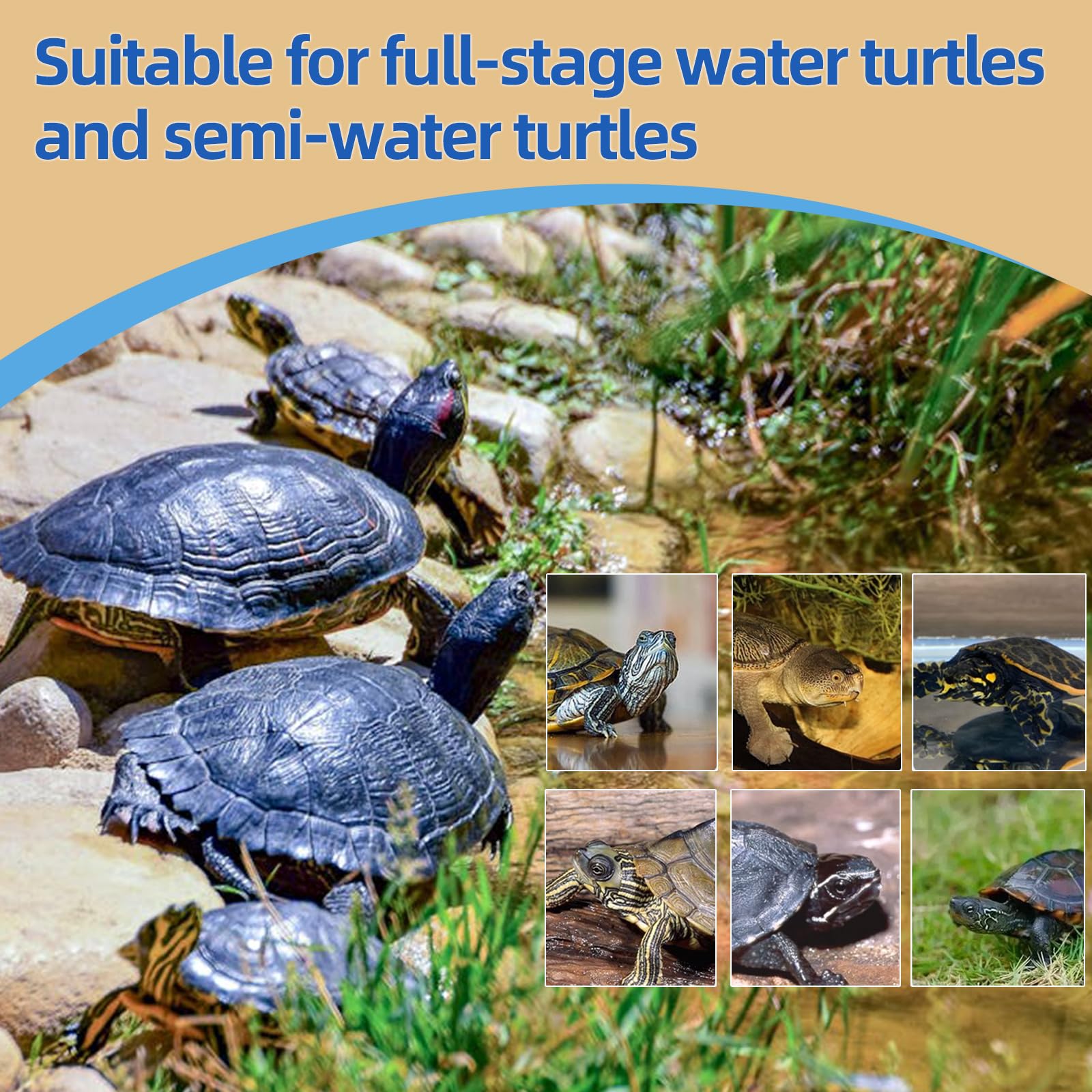 Mélange triple saveur: Sobirdos offre variété et plaisir alimentaire aux tortues.
