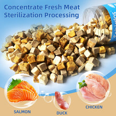 Protéines et vitamines: saumon riche en éléments essentiels, soutien énergétique pour les tortues Sobirdos.