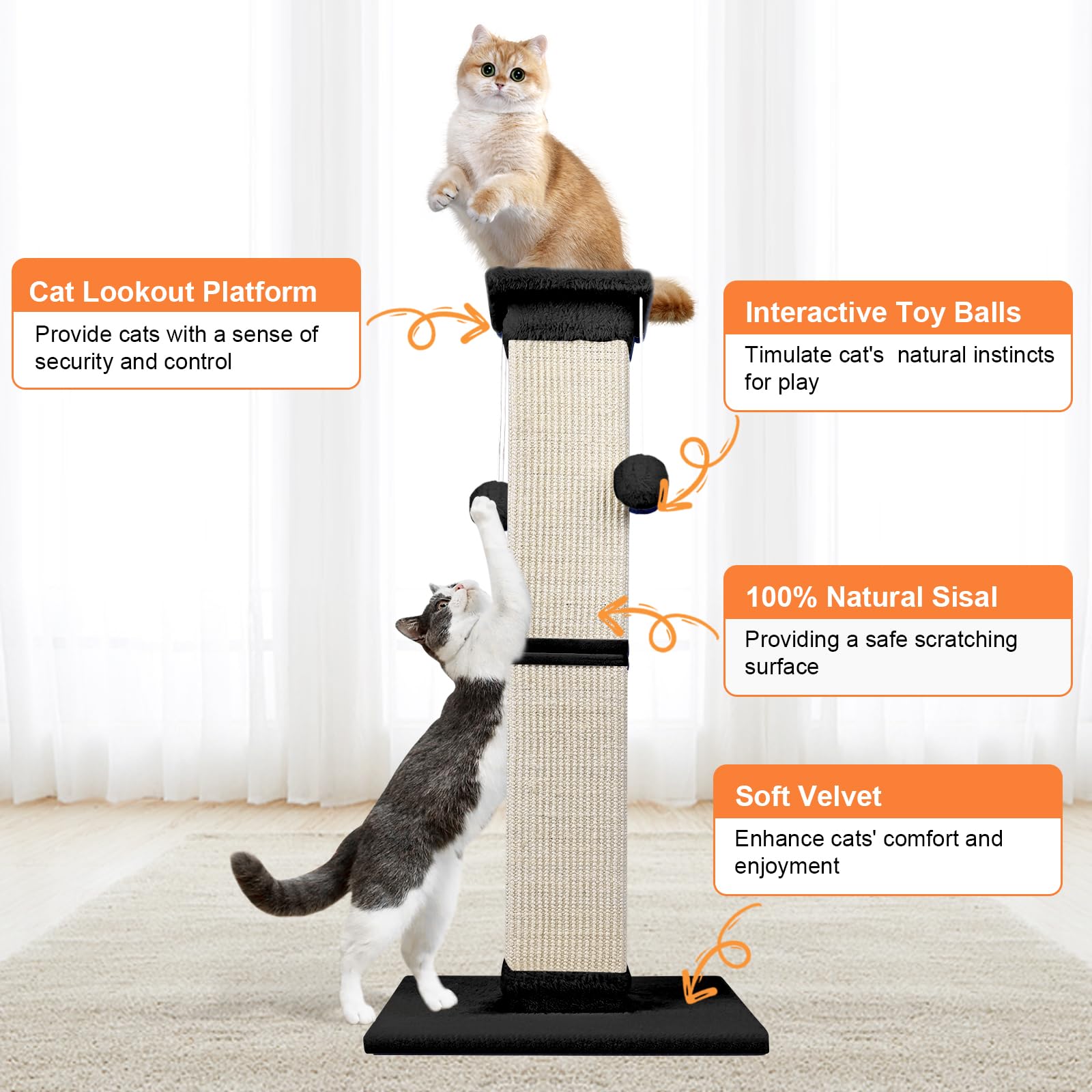 Socater base-39-cm : stabilité renforcée pour les sessions de griffage.