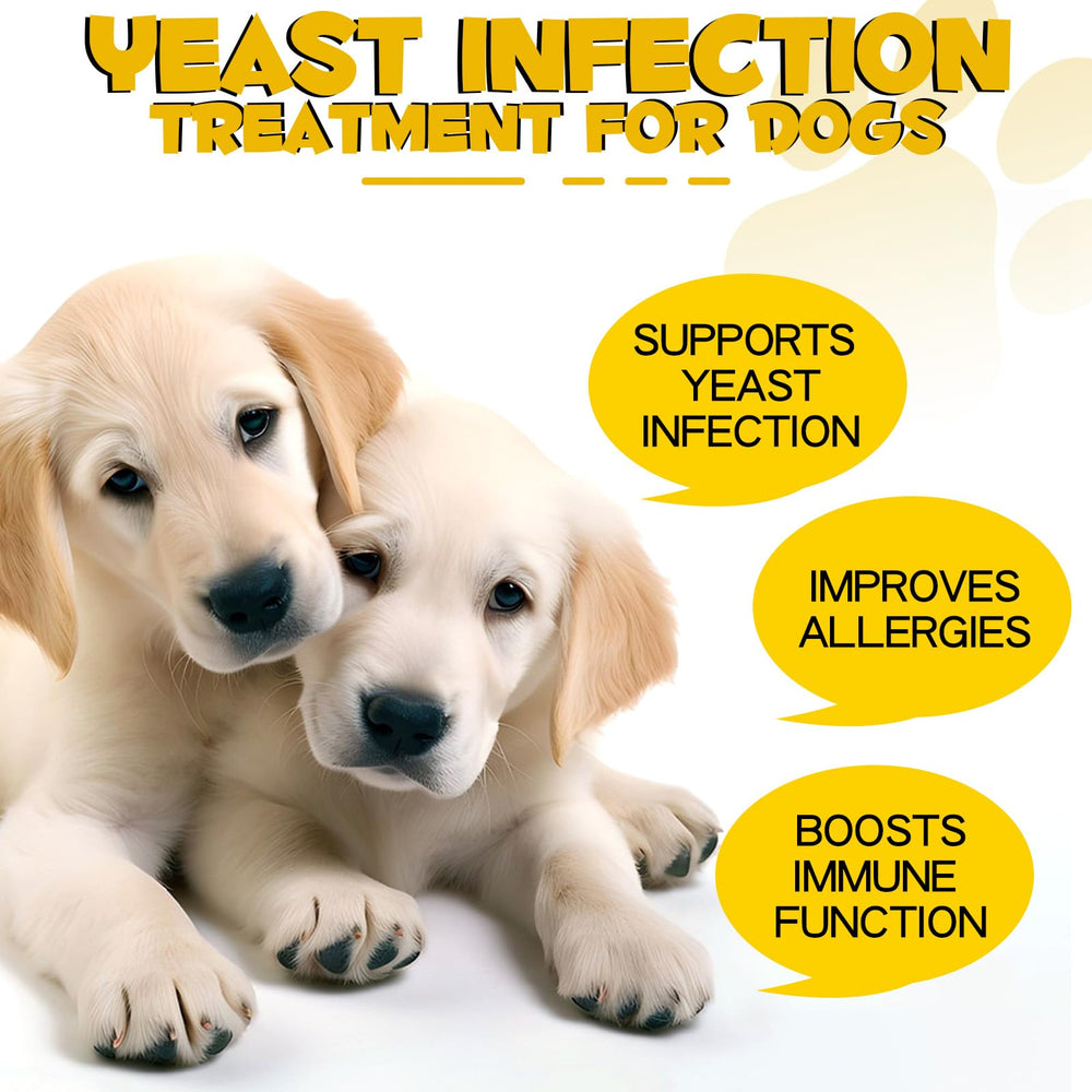 SOCATFOT Traitement levures chien - soutien potentiel pour les allergies.