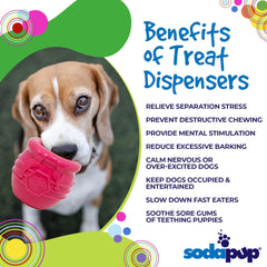 SodaPup jouet stimulation mentale: canalise l'énergie du chien.