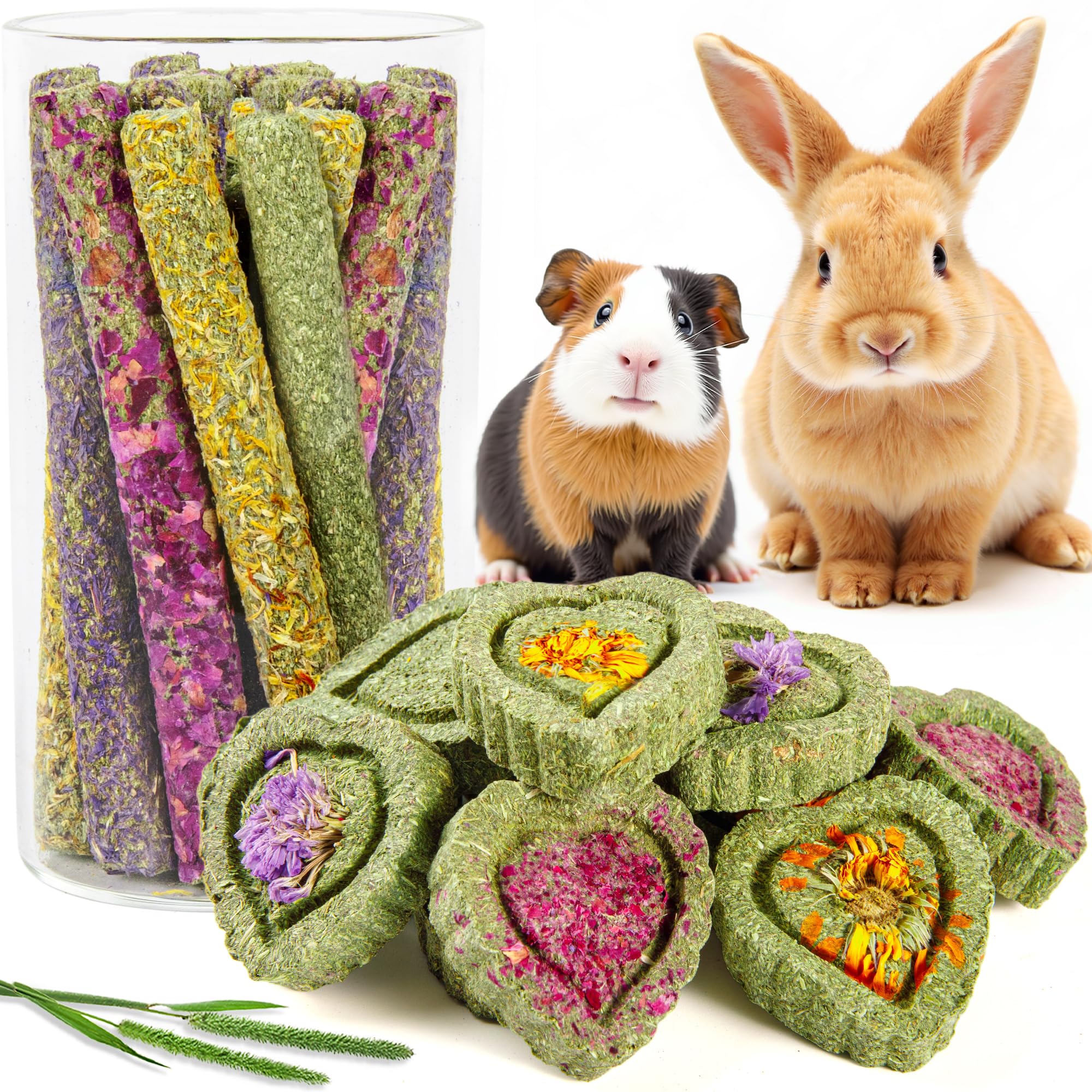 Sofier friandises foin timothy – gateaux calendula, textures croustillantes pour stimuler l'intérêt
