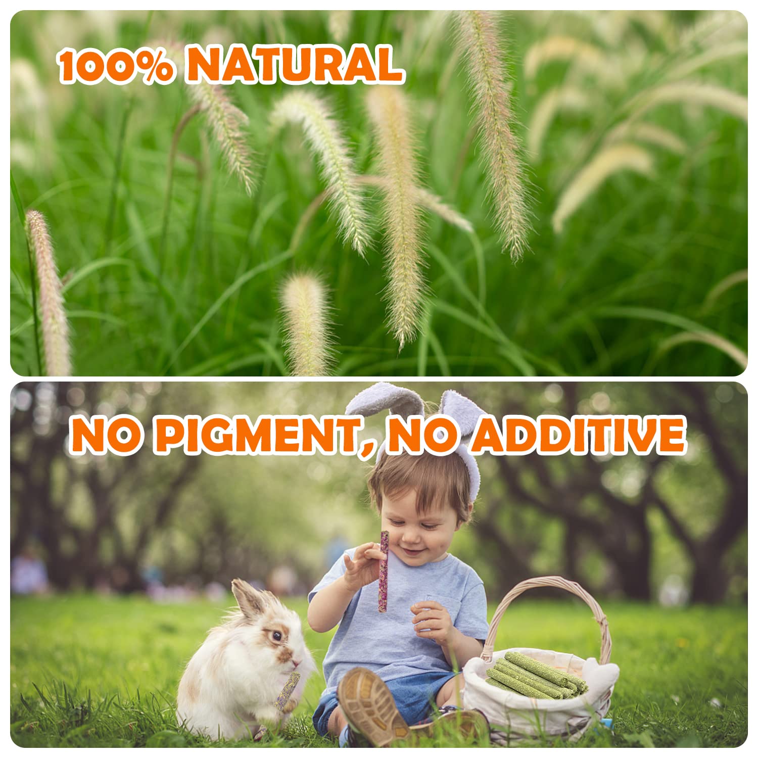 Sofier Timothy hay sticks calendula-packaging — variété attrayante pour l’alimentation