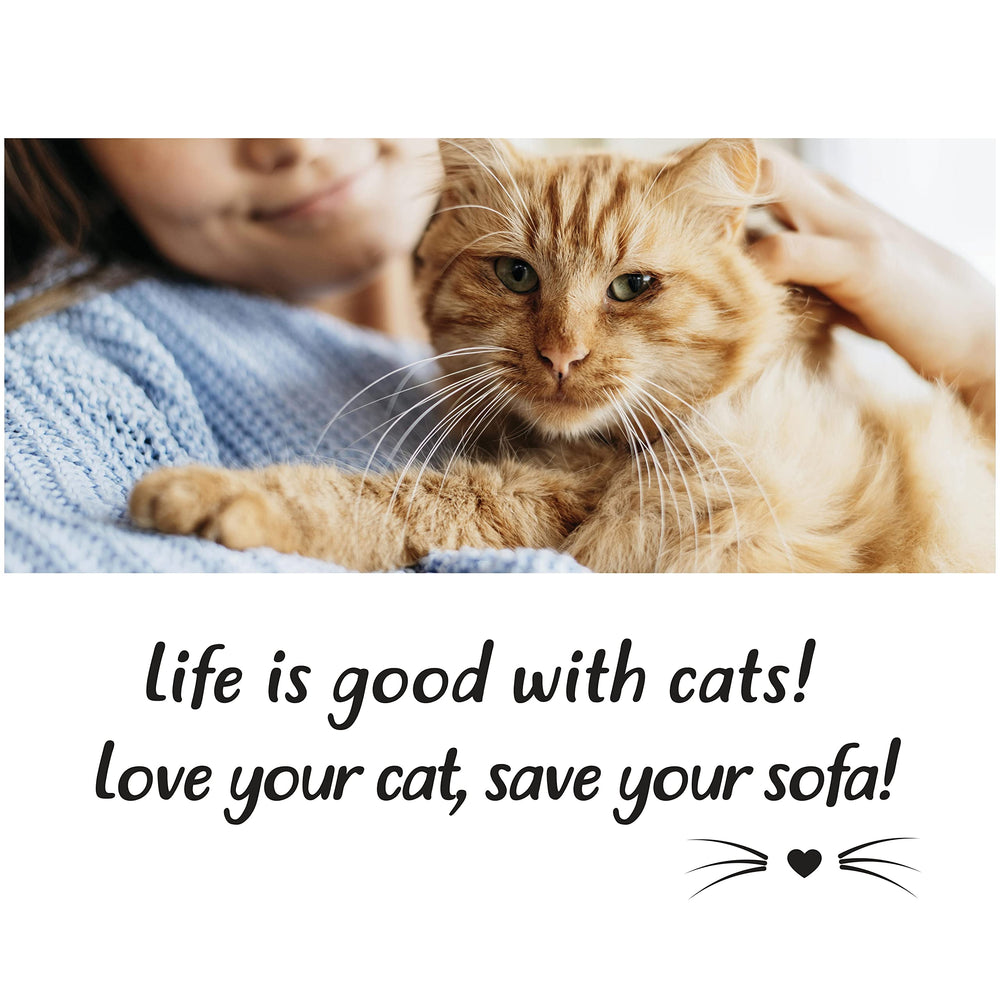 Sofisti-Cat démonstration-usage-quotidien, aide à adopter de bonnes habitudes.