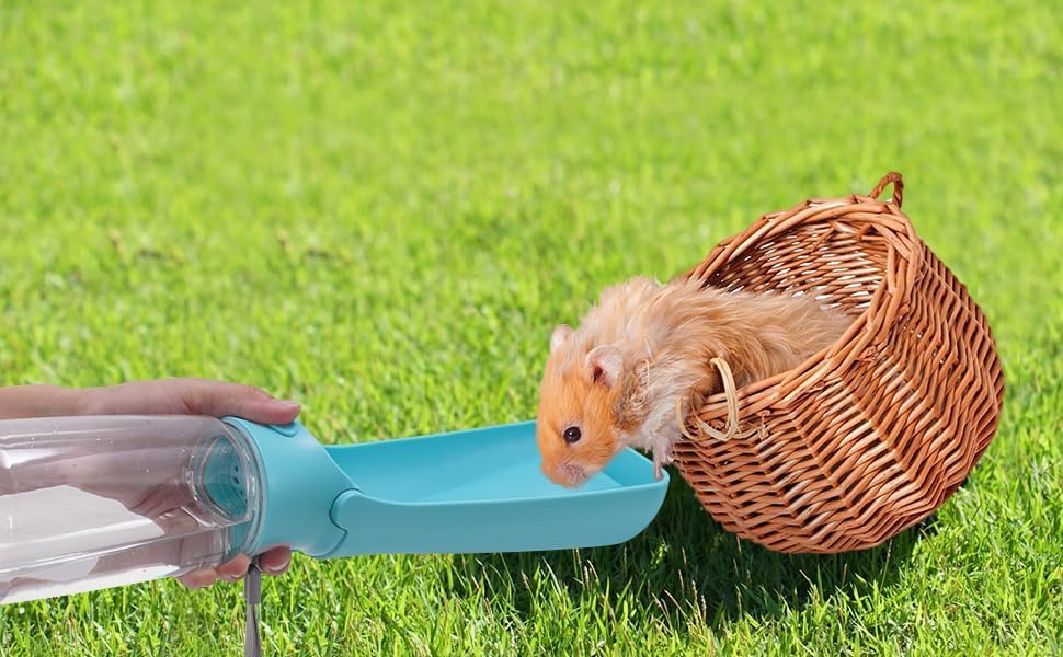 Gourde SOICTA adaptée chiens et petits animaux, usages variés.
