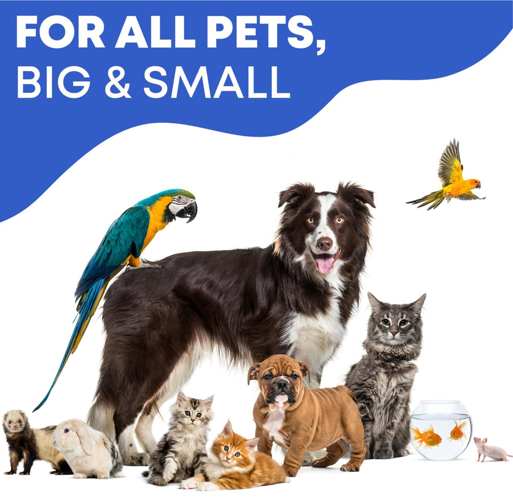 Soin-oreilles-levures – utilisation à domicile sûre pour petits animaux.