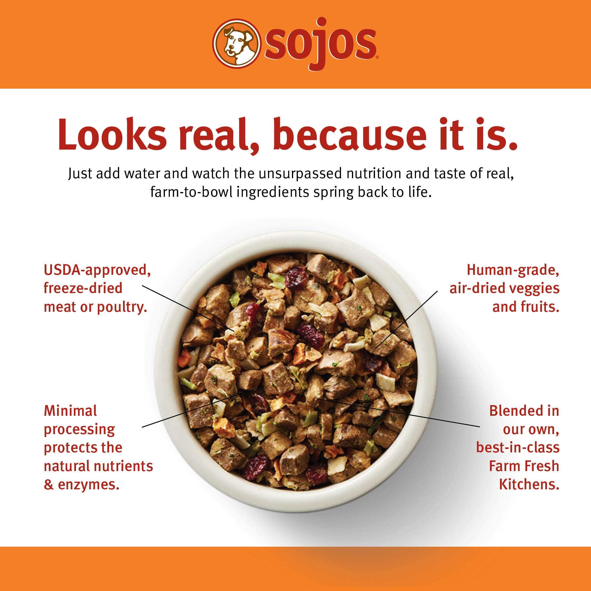 SOJOS ingredients naturels complets pour chien sans additifs ni conservateurs
