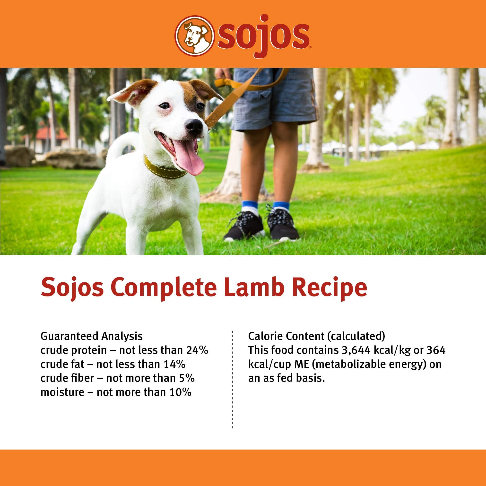 SOJOS sans cereales option crue adapte pour chien sensible