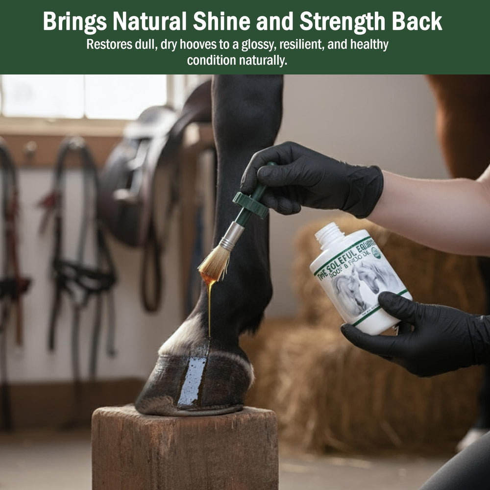 Conditionnement durable des sabots grâce à The Soleful Equine Hoof Oil.