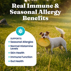 Solid Gold Bioboost, protéines et absorption améliorée pour chien.