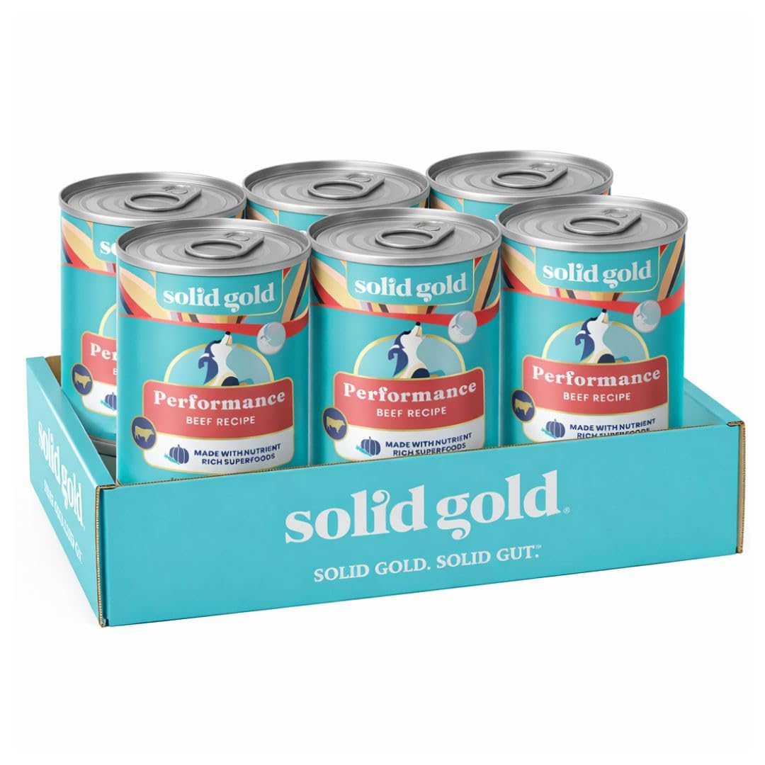 Solid Gold boeuf reel dans pate-chien, nourrissant et nutriments essentiels.