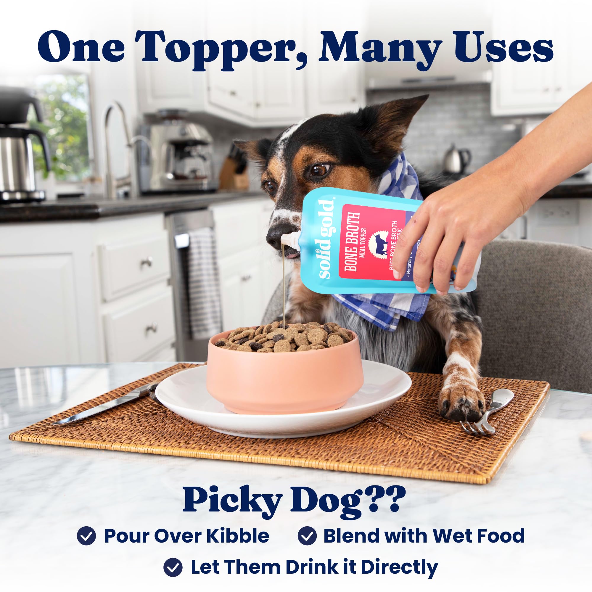 Solid Gold Bouillon pour chien, curcuma en vedette pour une saveur naturelle.