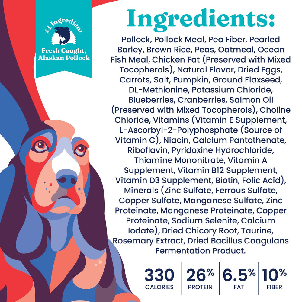 Solid Gold chien senior: alimentation adaptée pour les seniors.
