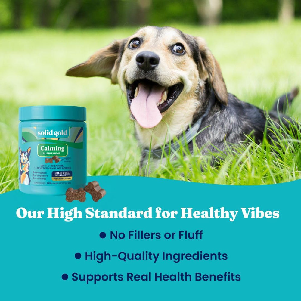Solid Gold Chiens stress lors du feu d'artifice, calme temporaire et soutien