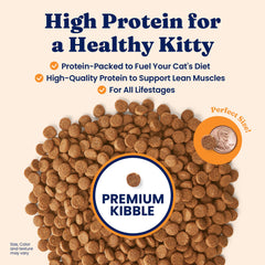 Croquettes Solid Gold chat avec 42% protéines pour énergie musculaire