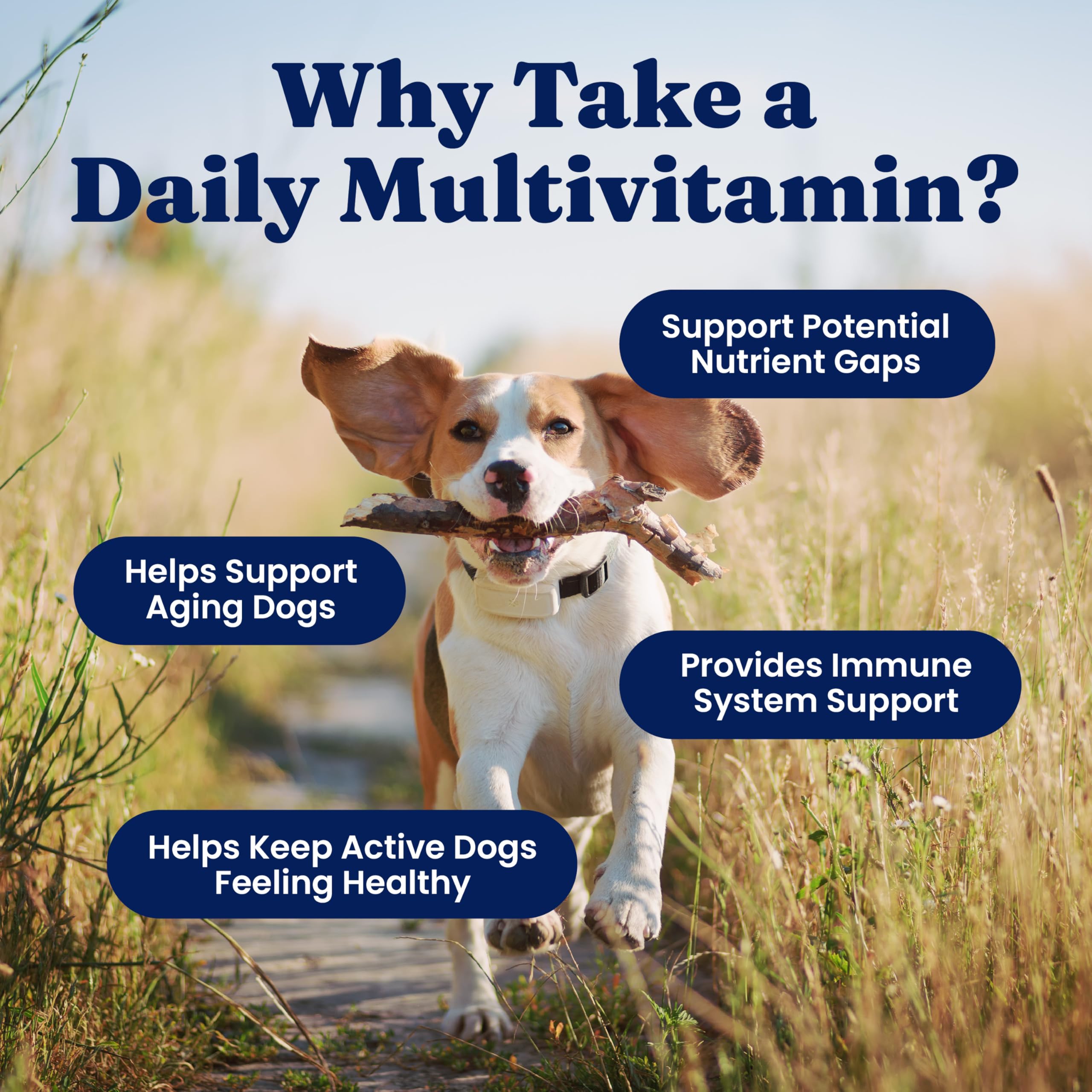 Solid Gold multivitamines pour chien — forme de morceaux doux faciles à mâcher.
