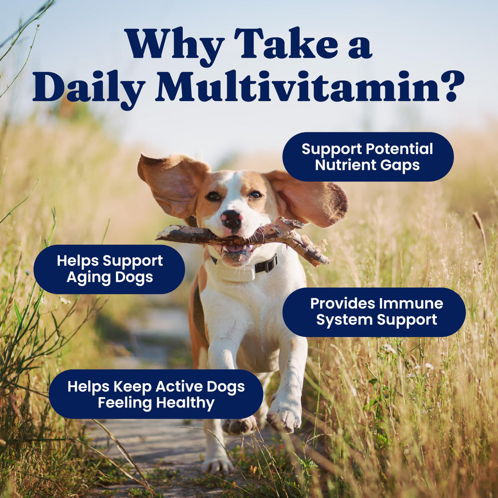 Solid Gold multivitamines pour chien — forme de morceaux doux faciles à mâcher.