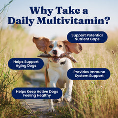 Solid Gold multivitamines pour chien — forme de morceaux doux faciles à mâcher.